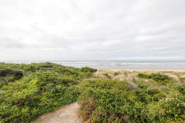 Coastal dunes with native vegetation lead to expansive sandy beach stretches under dramatic cloudy skies.